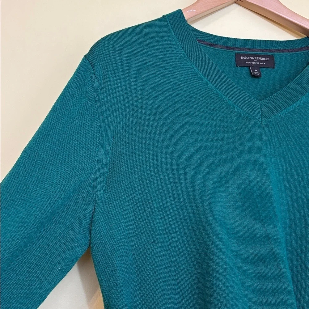 Banana Republic | Green Unisex Merino Wool V-Neck Knit Long Sleeve Sweater M